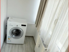 Nicolae Grigorescu, Fizicienilor